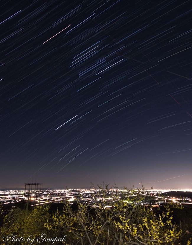 甘い香り漂う羽黒山の蝋梅＆夜景