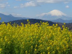 旅する乳幼児～吾妻山公園で春を感じる～