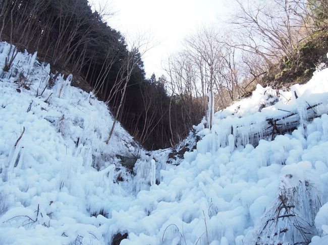 風の強い朝。寒いなぁと感じつつもあしがくぼの氷柱を見にドライブ。平日だったからか、さほど混雑することもなく目的地へ到着。<br />1時間ほどの見学でしたが、満足の休日を過ごすことが出来ました。