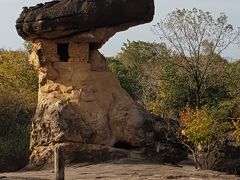 　桜子さんの気ままな旅　ウドンターニー　プープラ・バード歴史公園編