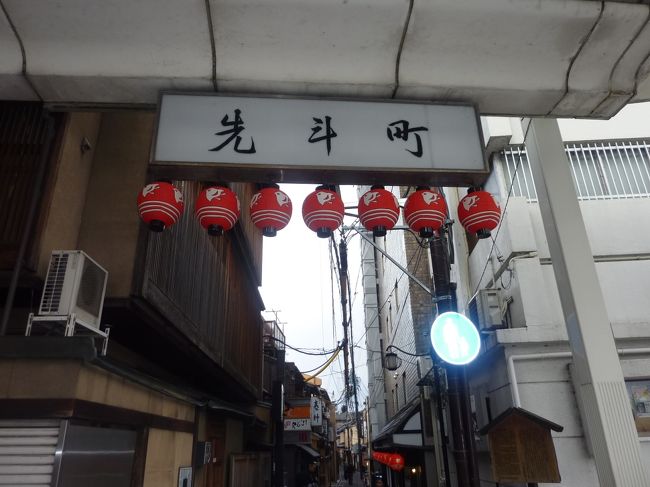 京都先斗町でグルメランチとスイーツを堪能しました。<br />グリル開陽亭　http://www.kaiyoutei.com/<br /><br />食通の芸能人、御用達のお店でもあります。<br />先斗町は、敷居が高そうに見えるが、庶民が安心して通えるお店が多いです。<br />ランチは大体3千円から4千円位で、ディナーは1万円までで充分行けます。<br />濃厚なビーフのコンソメスープ、ミニサラダ、牛タンのビーフシチューは絶品！オムライスは少しほろ苦いデミグラスソースで大人の味です。<br />川床もあり、別料金で￥300円の場所代が掛かります。<br />行きは電車で帰りは徒歩にて、色んな所を見て回りました。<br /><br />渉成園　http://higashihonganji.or.jp/worship/shoseien/<br /><br />京都の介護タクシー　http://kaigotaxi-info.jp/top_586.html<br /><br />京の冬の旅　https://kyokanko.or.jp/huyu2016/