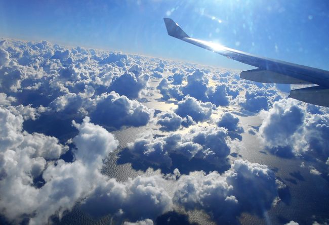 ハワイから帰国の途に ホノルル空港のiassラウンジはどこだ 大韓航空 ke002 ホノルル空港発10 50 成田空港行 ホノルル ハワイ の旅行記 ブログ By Fuzzさん フォートラベル