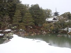 雪の京都を訪ねて（仁和寺）