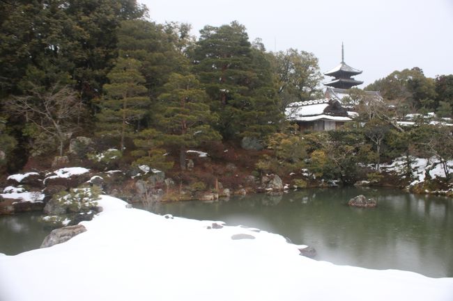 <br /> 前日の都道府県女子駅伝で雪の降る京都を見て、また、当日、ライブカメラで雪の金閣寺の様子を見て、以前から行きたかった雪の金閣寺に行ってきました。<br /> 　雪の京都は数十年前にお寺で泊まった時、偶然夜中に雪が積もり雪の三千院に行って以来2回目です。<br /> 　<br />○　仁和寺<br /><br />　　　仁和寺の歴史は仁和２年（886年）第58代光孝天皇によって「西山御願寺」と称する一寺の建立を発願されたことに始　　まり、翌年、光孝天皇は志半ばにして崩御されたため、第59代宇多天皇が先帝の遺志を継がれ、仁和４年（888年）に完　　成。寺号も元号から仁和寺となりました。<br /> <br />　日程<br /><br /> 金閣寺　⇒　竜安寺　⇒　仁和寺　⇒　嵐山<br /> 　<br /> .<br /><br />