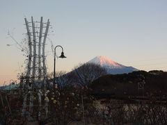 散歩 2017.01.31 =いつもと違うコースを歩きました=