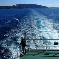 初めての東京湾フェリーで三浦海岸へ