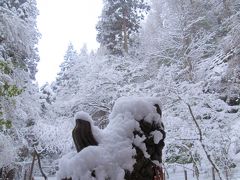 雪の貴船神社にいってきました。（おまけ画像追加しました。）