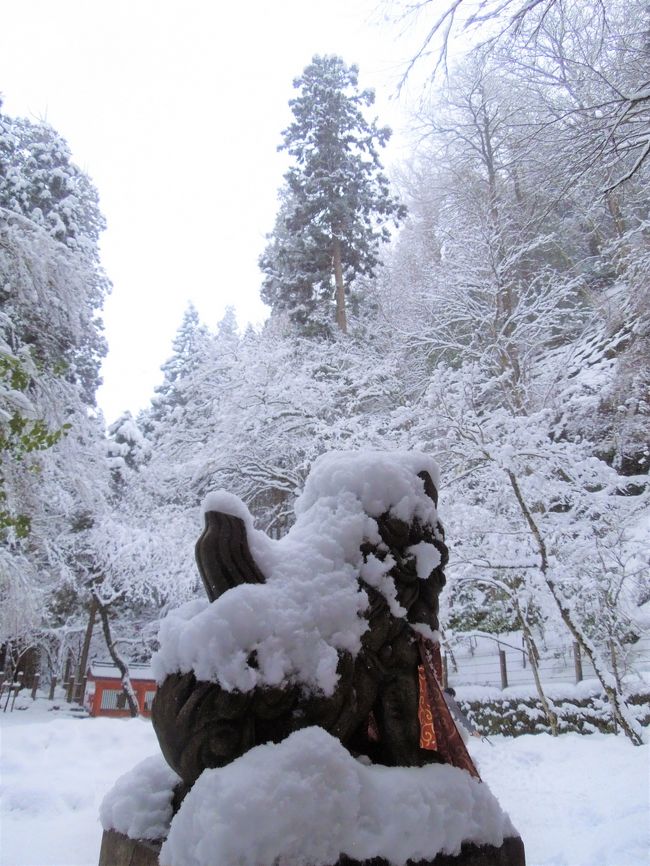2017年2月10日は<br />日本海側や近畿の北中部に大雪の予報。<br />京都市内でも山間部なら積雪が程よくあるかもと<br />夕方から用事があるのでそれまで楽しもうと<br />大阪を午前中に出発しました。