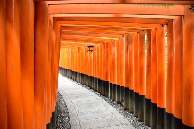 友人の結婚式のついでに京都観てきた旅行記です。<br /><br />１日目は、京都駅のそばのレンタサイクル屋さんから自転車を借り、東本願寺・渉成園・西本願寺・東寺・伏見稲荷大社と巡ってきました。<br /><br />その３、伏見稲荷大社をメインにこの日の旅行記は終わりになります。