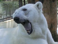 砥部（とべ動物園）