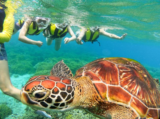 会社の海外研修旅行で6年ぶり2回目のグアム島に行ってきました。<br />今回のグアムはやや天候不良だったものの肝心なところでは晴れてくれてました。<br />2日目と3日目にレンタカーを借りて初の左ハンドル右側通行も経験。<br />最初はどうなるかと思っていましたが何とかなるものですね。<br /><br />事前準備が功を奏し大きなトラブルもなく帰って来ることが出来ました。<br />まあ添乗員も同行の旅なので、それが当たり前と言っちゃ当たり前かも知れません。<br />さて、御用とお急ぎでない方はご覧になって下さいませ。<br /><br />宿泊ホテル オンワード・ビーチ・リゾート・グアム<br />航空会社 ユナイテッド航空直行便(新千歳空港→グアム国際空港→新千歳空港)<br />