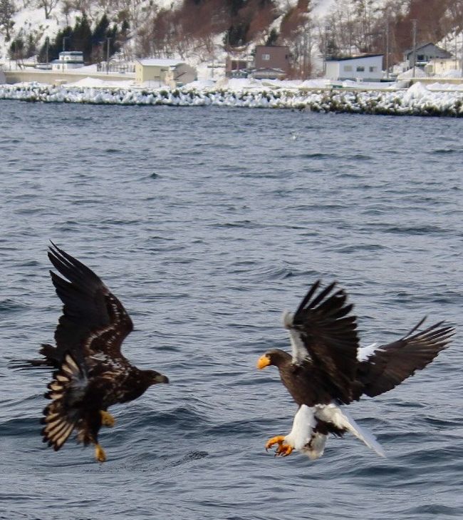 ２０１７　如月　北海道ちょいブラ！前半（羅臼→ウトロ編）