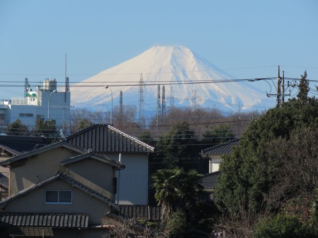 2月12日、午前9時過ぎにふじみ野市より久しぶりに美しい富士山が見られた。<br /><br /><br /><br />*写真は美しい富士山