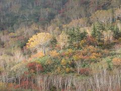 北アルプスの山々を間近に望む雲上の高層湿原、「栂池自然園」