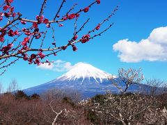 山梨/日本っていいなぁ。富士を眺めて温泉につかる冬＠湖楽おんやど富士吟景(2017年2月)