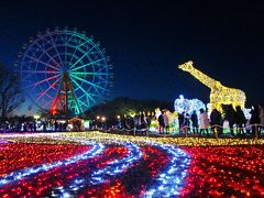 高3の娘とバレンタイン・デート☆闇夜の魔法 Winter Illumination☆彡