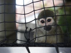 東北の旅①　仙台市八木山動物園（宮城県）