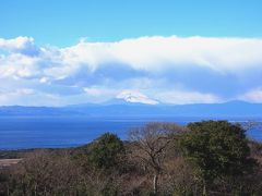 <早春の伊豆・花と海の節約旅・１＞ココだって東京！椿と火山と青い海の「伊豆大島」へ