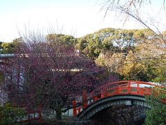 下鴨神社の「光琳の梅」が咲き始めたというので行ってみました～♪