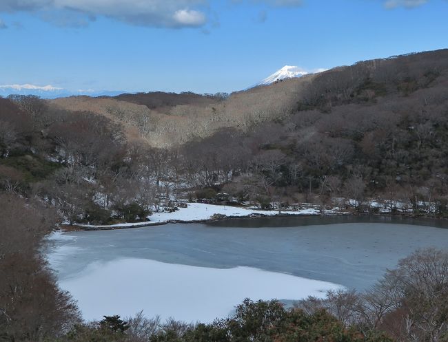 今月の還暦登山隊の宿題は、八丁池。八丁池は天城山系、標高1170mにあり、伊豆や静岡県東部の住民?は、遠足やハイキングで必ず訪れるところだ。中央やや右に富士山が見える。「天城の瞳」「青スズの池」とも呼ばれているそうだが、それは知らなかったなぁ。