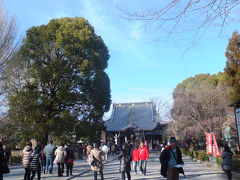 初めてのあしかがフラワーパークのイルミ 2017.02.08=3.鑁阿寺参拝=