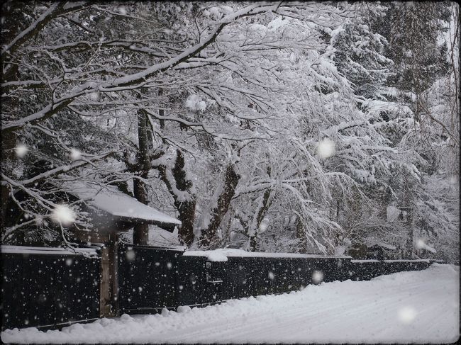 昨冬は雪不足の角館だったが、今年の秋田はいつも通りの積雪みたい。<br /><br />雪が降りしきる中、上桧木内の紙風船上げを楽しんだ昨夜。<br /><br />２日目の目的は、武家屋敷通りのモノクロの雪景色を堪能すること。<br /><br />雪国でも、日中晴れてくると、木々や屋根の着雪が溶けだすし、雪かきが進行してしまうので、昨冬同様、とりあえず早朝・・・まだ目覚めたばかりの武家屋敷通りの散策に出かけてみた。<br /><br />日中には、少し雪が溶けてしまうのではないか・・・と思っていたが、積雪量も天候も、昨年とはまったく違い、結局この日もずっと雪が降り続いた。<br /><br />なので、昼近くになって、連れ合いと再び散策した時には、さらに着雪も積雪も増して・・・さらに際立つモノクロ世界と・・・うんざりするほどの降雪と・・・雪、もういいや！と思うほど・・・雪景色を堪能できた。