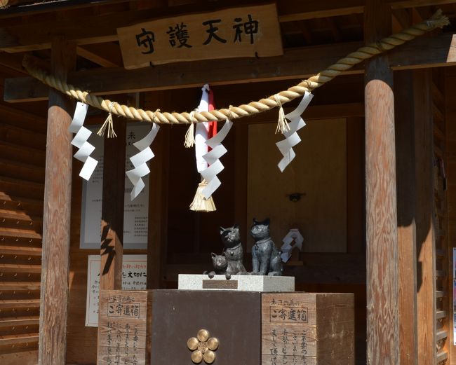 大阪高槻☆猫神社 ２月22日は猫の日