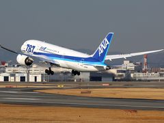 飛行機を見に伊丹スカイパークへ