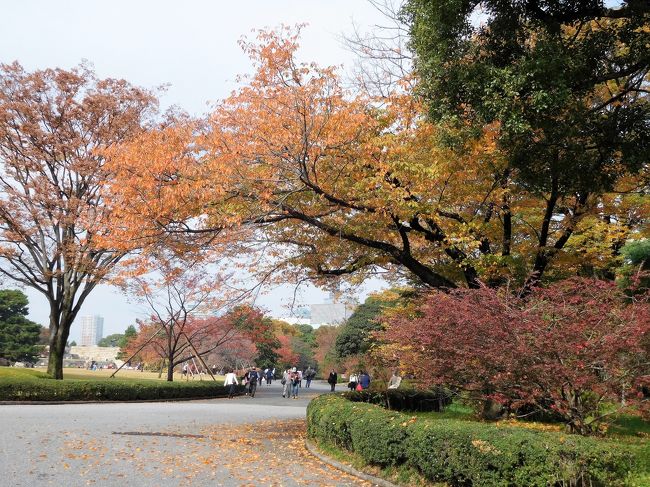 10時からの皇居一般参観が終わった後は大手門から東御苑に向かいました。<br /> 東京駅前には銀杏が黄葉していてきれいでした。<br /><br /> 東御苑では皇居警察の音楽会もありました。<br />富士見多聞の工事が終わり中の見学ができるようになっていました。