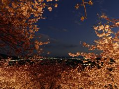 2017年2月　まつだ桜まつり