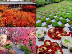 やっぱり京都の紅葉が最高！ 2016 週末京都旅 【 後編 】東福寺・永観堂・霊鑑寺・安楽寺を参拝、そして食欲の秋♪