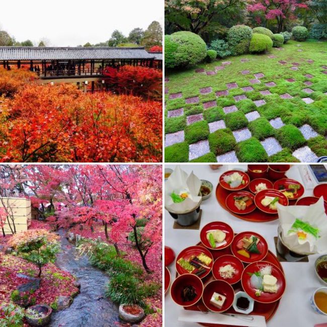 2016年秋☆週末京都旅【前編】から、早一年(^^;;<br />今年の紅葉の前に、未完成だった【後編】を書き上げることにしました。<br />宜しかったら、今年の京都の紅葉狩りの参考にして下さい。<br />( 前編 → https://4travel.jp/travelogue/11195010 )<br /><br />京都の紅葉と寺巡り(御朱印集め)を目的に、女友達と京都に集合したのが、2016年11月最後の週末。雨でしたが混んでないワケがありません >o<<br /><br />前編では、国内外の人でごった返えしている高台寺、圓徳院、清水寺のライトアップ紅葉を紹介しました。(長蛇列の高台寺の裏ワザ→ http://4travel.jp/domestic/area/kinki/kyoto/kyoto/higashiyama/tips/12474834/ )<br /><br />2日目の後編は、寺社巡りの達人Aちゃんに朝5時半に起こされ、合宿並みの修行に出かけます!笑<br />まず、混雑が予想される『東福寺』に朝一に乗り込み、東福寺そばの『天得院』で特別公開の庭を見ながらの精進料理。その後は、紅葉名所の『永観堂』や特別拝観できるお寺へ、、、<br />紅葉の写真が中心になっていますが、激混みの京都において『寺社巡り』をAちゃんがいかに攻略したかを失敗談も混じえて紹介します。 Aちゃんには感謝!感謝!です。<br /><br />人が多くても景色も寺も逃げませんが、紅葉のタイミングだけは早過ぎても遅過ぎてもダメですから、雨でも、混んでいると分かっていても、弾丸で思い立って行って良かったです^^<br />そして、改めて京都の寺社も紅葉も素晴らしいと感じました。<br />美しい日本を実感した2日間の記録です。<br />