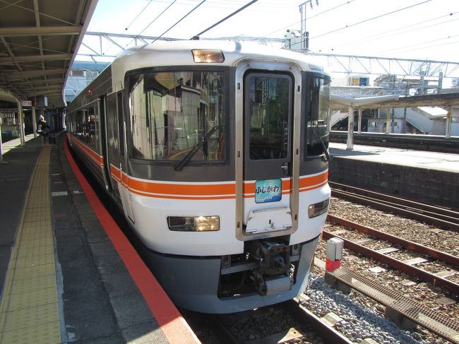 去年の11月、12月と手術を行った膀胱がんは、結局病理解析で筋層まで浸潤はしてなかったことが確定したので、晴れて(?)経過観察で済んでくれたのだが、1月初旬の三連休に訪れた鉛温泉のお湯がなかなか患部の治癒に効果的だったようなので(頻尿の程度がずいぶんマシになった)、どこか近場で似たような性質の温泉(要するに、ラジウム濃度が高いラジウム泉)がないものかと調べたところ、山梨県に良い感じの温泉があることを発見したので、早速出かけてみることにした。<br />山梨県北杜市まで出かけるのだが、単に韮崎までの切符を買っても面白くないので、藤沢から身延線経由で山梨に向かい、帰りは八王子から横浜線経由で藤沢に戻るという一筆書きの乗車券を発券してもらうことにした。<br /><br />08:07 藤沢-小田原 1827E<br />普段だと8時15分藤沢発熱海ゆきの列車が、臨時の踊り子(踊り子101号)のため、発車時刻が変更されていることに気付かず、事前の調査不足か、と思いとりあえず一本前の小田原止まりの列車に乗車。列車に乗り込んだ後で時刻表を確認して前記の事情を知る。事前にちゃんと紙の時刻表で調べておけばあせらずに済んだのに、手を抜くといかんな。<br /><br />08:50 小田原-熱海 1527E<br />小田原駅のホームは日陰なので、待っている間は結構寒い。熱海で列車の乗り換え時間を利用して、駅トイレを利用するが、私が戻ってきたら女子トイレが長蛇の列で妻が戻ってこれるかハラハラする。なんとか時間内に戻ってこられてホッとする。<br /><br />09:24 熱海-富士 1427M<br />熱海発車寸前で乗り込んだので着席はできなかったが、三島であらかた客が降りてしまったので、それ以降はのんびり座って終点の富士駅まで向かう。富士駅改札口で途中下車印を捺してもらって、改札正面にあるヴィ・ド・フランスでホットコーヒーを注文するが、サイフォンで一杯ずつ丁寧に抽出するため、次の列車の発車時刻寸前になり、生きた心地がしない。<br /><br />10:14 富士-甲府 4003M (ワイドビューふじかわ3号)<br />今回の旅行を計画して真っ先に行ったのは、ワイドビューふじかわ3号の一番前の座席を確保することで、どれだけ前方視界が開けてるのかとワクワクして乗り込んだのだが、途中にデッキが挟まっている上、窓側の席からはほとんど前方視界は望めず、ちょっと期待はずれ(ガラス一枚隔てて運転席がある、くらいの座席配置を勝手にイメージしていた)。まあ、それでも車窓から見える富士山の眺めはなかなかのもの。時刻表の路線図では簡略化されてしまっているが、富士宮駅近くの上り勾配を通過するため、さっきまで右手に見えていた富士山が今度は左手に見えるさまは、実際に乗ってみないと体験できないだろうなあと感慨深い。あと、富士駅から甲府駅に至るまで、ずっと富士川を左手に見ながら移動していたので、「ふじかわ」っていう名前が身延線特急にはぴったりなんだなあと思ったり。<br /><br />12:20 甲府-韮崎 533M<br />甲府で一旦改札外に出る。ここからは一筆書きのルートから外れるので、甲府-韮崎間の往復乗車券を購入する。<br />韮崎駅前にある、韮崎市民交流センター(リコリ)の一階にあるカフェ「コーナーポケットMDK」でランチにする。事前に調べていたところだと、平日と土曜はワンコインランチが注文できたはずなのだが、残念ながら現在は行っていないようだ。仕方がないので、めいめいにパンをトレーに乗せて注文。ホットコーヒーを付けてもほぼワンコイン。韮崎市のマスコット「ニーラ」をかたどったメロン味(?)のパンと、信玄餅入り揚げパンを頂く。どちらも色物っぽい割には、真面目に作ってあってすごく美味しく頂けた(増富温泉行きのバスの車内から、「美味しい方の信玄餅」という評判がある「韮崎金精軒」の敷地内にコーナーポケットの店舗があったので、信玄餅の美味しさに合点がいった次第)<br /><br />13:45 韮崎駅-増富温泉<br />増富温泉までは、山交タウンコーチのバスで向かう。想像していたよりも新しいバスがやってきた。PASMO・Suicaにも対応しているので手持ちの現金が少なくても安心(対応するようになったのは、昨年12月以降)。経路上、わりと高頻度でバス停があるのだが、あまり乗車してくる人はいない。若神子あたりを過ぎると、乗客は我々と女性二人組の計四人だけになる。河岸段丘上を縫うように通る増富ラジウムラインに沿って、じわじわ標高を上げていく。ようやく終点に到着したときには粉雪がチラチラ舞っていた(後日確認したら、標高1000m以上の高地の温泉だそうで、そりゃ寒い訳だわ)。<br /><br />増富温泉バス停からさらに上り坂を5分ほど歩き、今回宿泊する「津金楼」に到着。入り口で靴を脱いで二階の客室に通される。ちなみにエレベーターは無いので、足が悪い人にはちょっと大変かも。通された部屋は12畳くらいあって広々してるが、いかんせんちょっと設備が古くて板張りの壁が所々めくれてしまっていたりする。まあ、この辺はいかに上手にスルーできるかによるな。<br /><br />宿までの道のりで凍えそうになった体を温めるべく、さっそく温泉に浸かってくることにする。こちらの温泉は源泉の温度が約30℃と少し低めなので、加温したお湯が入った浴槽と源泉をそのまま溜めた浴槽が一つずつくっついて並んでいる。掛かり湯しようと思って冷たい方のお湯に手を突っ込んでしまい、ビックリしたので、まずは加温してる方に浸かって体を温めてから源泉に浸かろうと思うが、あまりの冷たさに断念する(湯治で長逗留していると思しきおっちゃんは、口元まで浸かって平気そうにしてるのになあ。。。)。お湯の方は鉄分が少し多めで赤茶っぽく、硫黄臭は少なめでヌメリも少ないので比較的入りやすいと思われる。<br /><br />体が十分温まったので、夕飯までの時間を使って、さらに山道の先の方にお散歩してくる。近くに「くじら石」というのがあるそうなのだが、どの石がそれなのかがよく分からなかったので、適当なところで戻ってくる。<br /><br />17時30分から夕食。前回鉛温泉に宿泊したときは出される料理が豪華すぎて胃もたれしてしまい、消化に体力使うという状態だったので、今回は「ヘルシープラン」という、ほとんど動物性タンパク質を使わない食事のメニューで予約していたのだ。どんなものが出てくるかちょっと心配でいたのだが、地元で採れたと思しき野菜や山菜をふんだんに用い、品数も豊富なお膳が出てきてホッとする。味の方も素朴ながら食べやすい味付けで大いに満足する。脂身の多い料理を食べた時とはまた違う満腹感を感じる(最近脂っこいものを食べて感じていたのは、満腹感ではなくて単なる胸焼けだったのではないかと思い知った次第だ)。<br /><br />夕飯後、もう一度お風呂に浸かってくる。今度は源泉におへそまで浸かることができた。湯に入った直後はかなり冷たく感じられるのだが、じっとしてるとなんとなくジワジワ温もり(?)っぽさが伝わってくる感じがする。温かいお湯との交代浴もお奨めらしい。<br /><br />お風呂で温まった後のお約束の瓶牛乳は、一階のロビーにある自販機で購入。八ヶ岳乳業の牛乳を頂く。160円。うまーい。これはジャージー牛乳だね。<br /><br />温泉の時間が夜9時までなので早めに就寝。お風呂に浸かるとそれなりに疲れるのか、よく寝ることができた。寝てる間もエアコンは付けっぱなしなのでちょっと喉が痛い。加湿器の一つでも欲しいところだな。<br /><br />翌朝。気持ち良く起床。肩こりがずいぶんマシになったような気がするなあ。そして、朝食前にも入浴。浴場に行くまでの廊下が寒くて吐息が真っ白。誰もいないお風呂ではノビノビ足が伸ばせて気持ちいいなあ。熱い方のお湯で十分体を温めた後、今度は源泉に首まで浸かる。半身浴よりも温かいくらいかもしれんな。源泉がわき出てるところを手で掬って舐めてみると、微かに塩っぽい鉄臭い味がした。<br /><br />そしてヘルシープランの朝食。山里っぽい感じの献立だ。巨大な豆(花豆)の煮物が目を引く。表面がツヤツヤで味付けも上品だ。カブの漬け物もおいしい。温泉卵は黄身があまりにもしっかりしていてゴムボールみたいな弾力があった。御飯も美味しくお櫃が空っぽになりました。<br /><br />チェックアウトが10時なのでそれまでにもう一度お風呂に浸かることにする。あまりお湯の温度が高すぎないので入浴回数が多くてもあまり疲れないような気がする。<br /><br />10:40 増富温泉-韮崎駅<br />旅館をチェックアウト、バス停に向かう。バスの時刻まではかなりあるので、バス停の前にあるお土産屋&民宿「かもしか」に入店。お土産を購入しつつ寒さをしのぐ。バスが来るまでの間、お茶飲ませてもらってたら、花豆の煮物も出してくれた。こちらは圧力鍋でガッツリ煮込んだものらしく、表面の皮は破れてしまっていたがしっかりした味付けで、これはこれで美味しい。<br /><br />10時25分頃にバスがやってきた。今度は少し古めの車輌。意外と乗客は多い。全員で15人くらい乗ってたかな。行きとは違って途中のバス停で乗車する人もチラホラ。韮崎に到着するころにはだいたい座席が埋まっていた。意外と利用者が多いのかな?<br /><br />11:53 韮崎-甲府 546M<br />韮崎駅には予定通りの時刻に到着。甲府から八王子までの自由席特急券を発券する。韮崎駅のホームに立つと、風が強くてけっこう寒い。待合室に逃げ込む。予定では12時29分発の甲府始発の「かいじ110号」に乗車しようと思っていたのだが、時刻表を確認したら12時10分に甲府に到着するスーパーあずさ14号があるみたいだ。自由席特急券にしておいてよかった。<br /><br />12:11 甲府-八王子 14M<br />12両中、4~6号車が自由席。4号車に乗り込む。なんとか並んで着席できたが、前の座席では酒盛りの真っ盛り。他の客にも配慮してくれんかのう。まあ、それはともかく。振り子車輌でカーブも高速で駆け抜け、途中停車駅もなく八王子に到着。<br /><br />八王子駅で途中下車印を捺してもらい、駅直結のセレオ八王子にある「cafe&meal MUJI」に入店。上手い具合に空席があったので待たずに昼食にありつけた。タケノコを利用したメニューが食べられ、味覚で春を感じる次第。<br /><br />13:50 八王子-菊名 4328K<br />八王子からは横浜線の快速電車に乗車。相模原を過ぎた辺りから本気出してガンガン駅を通過し出すが、新横浜の手前で緊急停車&横浜駅で人身事故のため、京浜東北線が運転見合わせとのアナウンスが。ありゃりゃ。しかもお腹の調子が突然悪くなってくる。ひええ。<br />他社線への振り替えを行っているため、菊名で下車して東横線に乗ることにする。JR線のトイレは暗くて汚そうだったので、東急の駅トイレに駆け込んでなんとか事なきを得る。<br /><br />14:45 菊名-横浜 055141<br />横浜駅までは東急のFライナーに乗車。乗客が多くて立つしかないため、どれくらいのスピードで走っているのかが微妙に分かりづらい。一駅で横浜に到着。なんとか東海道線は動いているみたいだ。<br /><br />15:01 横浜-藤沢 2841Y<br />横浜からは湘南新宿ライン経由でやってきた国府津行きの列車に乗車。うまいこと乗り継げて良かった。湘南新宿ライン経由の列車は上野東京ライン経由の列車よりも乗客が少ない傾向があるので今回も余裕で着席できた。15時半には藤沢到着。途中、横浜線でトラブルに見舞われた割には、当初の予定に比べて2時間くらい早く帰ってこられた。<br /><br /><br />で、温泉に行った後のレポートです。なんとなく月曜日の朝は体が重い、仕事に行くのがしんどいなあと思っていたのが、尻上がりに調子が良くなってきて、先週までは週末になるとヘロヘロになっていたのが、なんとか週末まで体力が保ちました。あと、目に見えてトイレの頻度が少なくなったので睡眠の質が向上したと実感できました(ていうか、頻尿がだいぶ収まったのはかなりありがたい)。<br /><br />これだけ顕著に湯治の効果が感じられるのもかなり驚きなのですが、食事のメニューも今の自分にぴったりな感じなので、また近いうちに湯治に出かけようと思ったのでした。