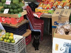 16年7月初めてのベトナム○1 ホーチミンぐるぐる街歩き