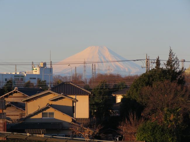2月19日、午前6時59分頃にふじみ野市より美しい富士山が久しぶりに見られた。　<br /><br /><br /><br />*写真は午前6時５９分頃に見られた富士山