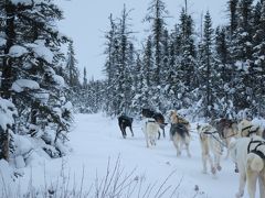 イエローナイフでオーロラ年越し～その２～