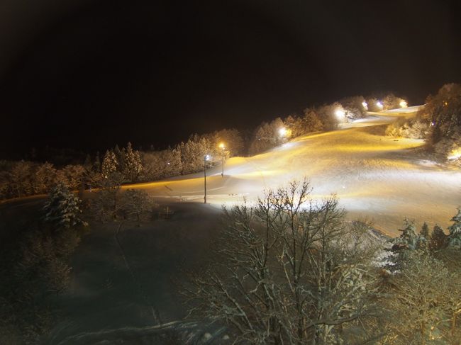 雫石といえば温泉とスキーですね。<br />わたしたちはスキーはしないので、雪見風呂を満喫しました。<br />夕食はライトアップされたゲレンデを見ながらビュッフェ形式でいただきます。<br />天ぷら、海鮮丼、地鶏焼き、ロストビーフにカニ食べ放題！<br />好きなものを好きなだけ(^o~