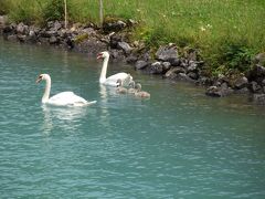 毎日雨が降ったスイス8日間 07