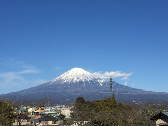 富士宮に住む知人から、「イチゴ大福」を作ったのでとお誘いがあり手土産に当地名産のミカン・「はるみ」を持参して、快晴の富士山を眺めつつ新東名道をドライブする。