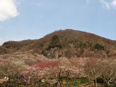 にわか山ガ～鎌倉幕府開運街道を行く！