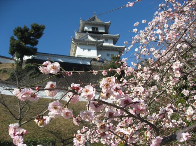 静岡にある日本100名城の掛川城と駿府城を見てきました。ついでに周辺の観光と世界一長い木造歩道橋の蓬莱橋も見てきました。旅行記は６つに分けました。<br /><br />★旅行記２の散歩ルート<br />掛川駅→大手門→掛川城（日本100名城）