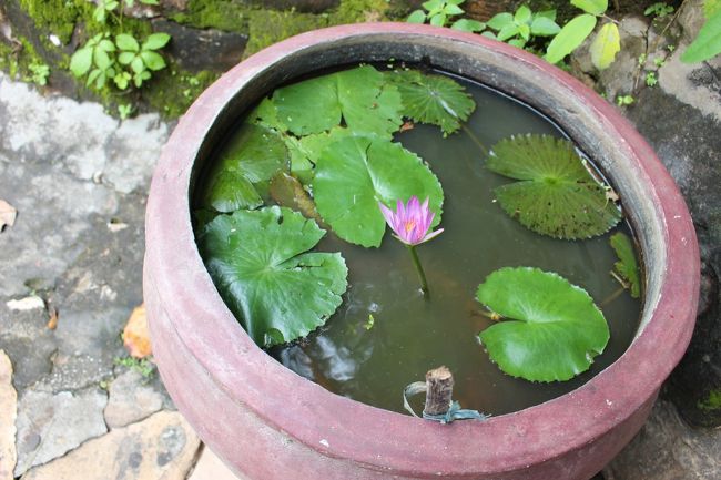 旧暦最初のランタン祭りホイアン～日本からの直行便ができてますます発展の兆し、リゾート地ダナン