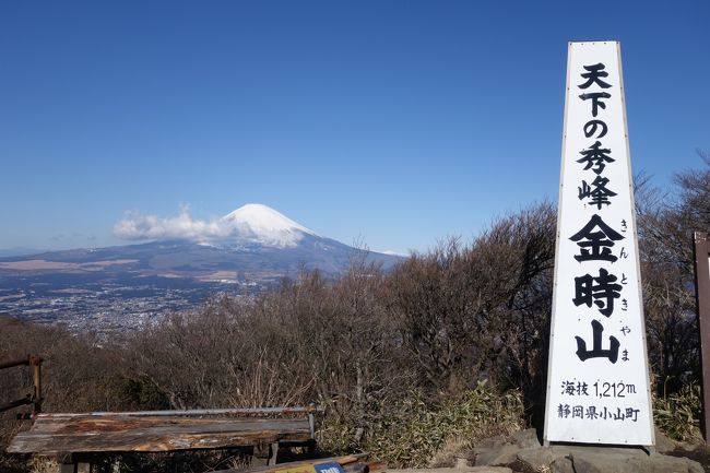 昨日スノボーから帰って来てすぐ今度は神奈川の金時山を縦走してきました。<br />久々の雪山以外でのみっちりの山行<br />神社から金時山へは何気に急な登りでしたが、時間は一時間弱で山頂なので疲れるほどではなかったです。<br />山頂からは快晴の富士山を間近で見れて大満足!!改めて富士の偉大さを知りました。<br />山頂では箱根山、芦ノ湖、仙石原などもくっきり見えました。<br />そして金時山から縦走です、手始めは明神山を目指しましたが何気に距離がありました。<br />登山道も泥道で大変でした、また竹藪で道を塞ぎつつもあり中々思う様に進めない所もありました。<br />道程もアップダウンありますがなだらかな道なので楽に進めて行けました。<br />明神山から明星山も基本下りの泥の道でしたが、こちらは体力より足元が滑らない様に慎重に進みました。<br />明神山から宮城野橋バス停までは急な下りですが、こちらは距離が短かったです。