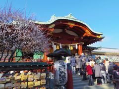 香取神社紅梅園　と　亀戸天神の梅　