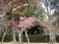 母と行く奈良県立美術館「祈りの美」☆友達の命日に片岡梅林を歩きながら、思い出にひたる・・・