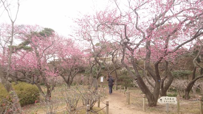 北関東３県一人旅（前編）