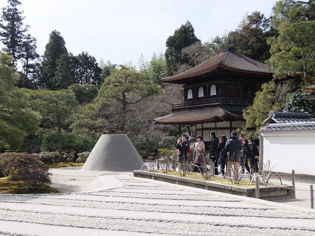 京都の銀閣寺と法然院を訪れました。