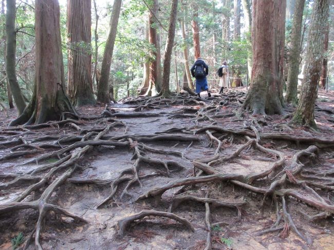 2泊3日で京都を訪れた際、これまで行ったことがなかった鞍馬寺を訪れてきました。<br />冬の季節、寒さと雪を覚悟して出かけましたが、とんでもない、汗びっしょりになってしまいました。<br />息が切れる、厳しいハイキングでした。