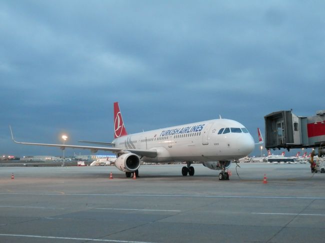 プレミアムフライデーに丁度いいかも 金曜の夜発のトルコ航空でハンガリー ブダペストへ ブダペスト ハンガリー の旅行記 ブログ By Snoopy Bawbawさん フォートラベル