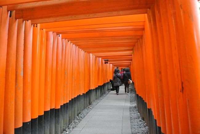 道産子夫婦が行く 関西 香川8泊9日その14 京都編 京都の旅行記 ブログ By ダメ子さん フォートラベル 道産子夫婦が行く 関西 香川8泊9日その14 京都編 京都の旅行記 ブログ By ダメ子さん フォートラベル